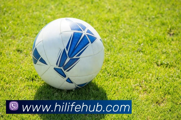 乐鱼全站App